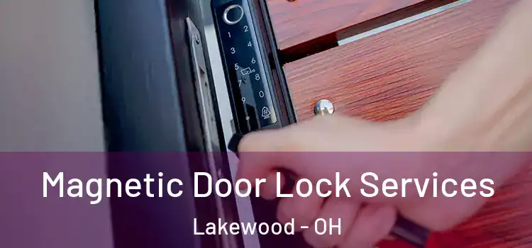 Magnetic Door Lock Services Lakewood - OH